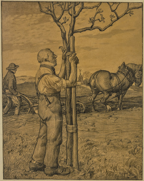 Gärtner einen Baum anbindend 1897