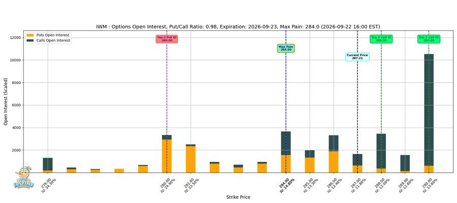 IWM Options
