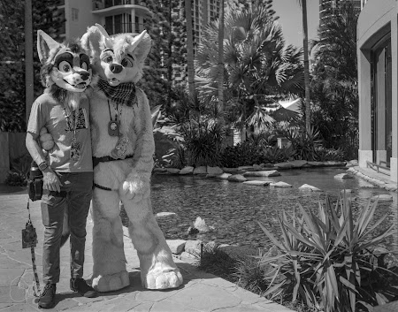 furdu-2.jpg