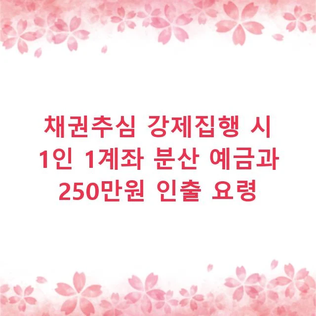 채권추심 강제집행 시 1인 1계좌 분산 예금과 250만원 인출 요령