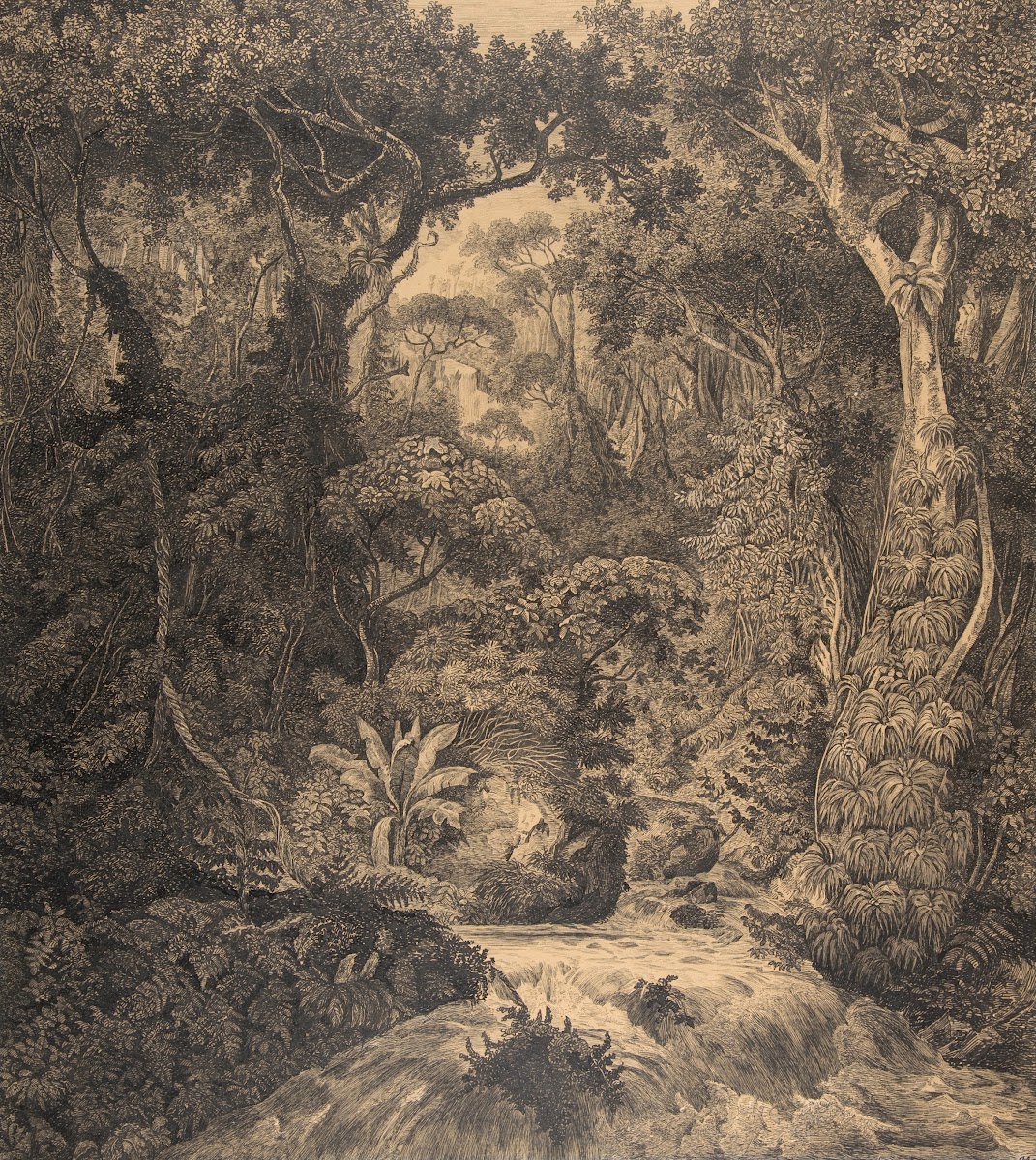 Ceylonese Jungle Mid 19thearly 20th Century