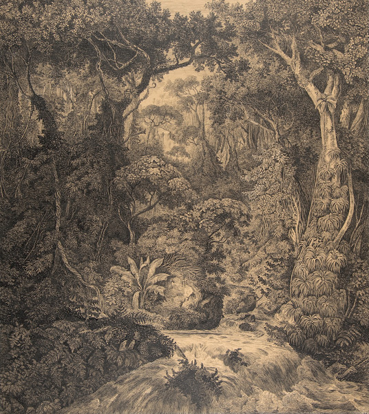 Ceylonese Jungle Mid 19thearly 20th Century