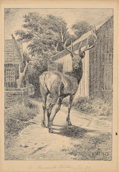 Ringwaakbukken 1923