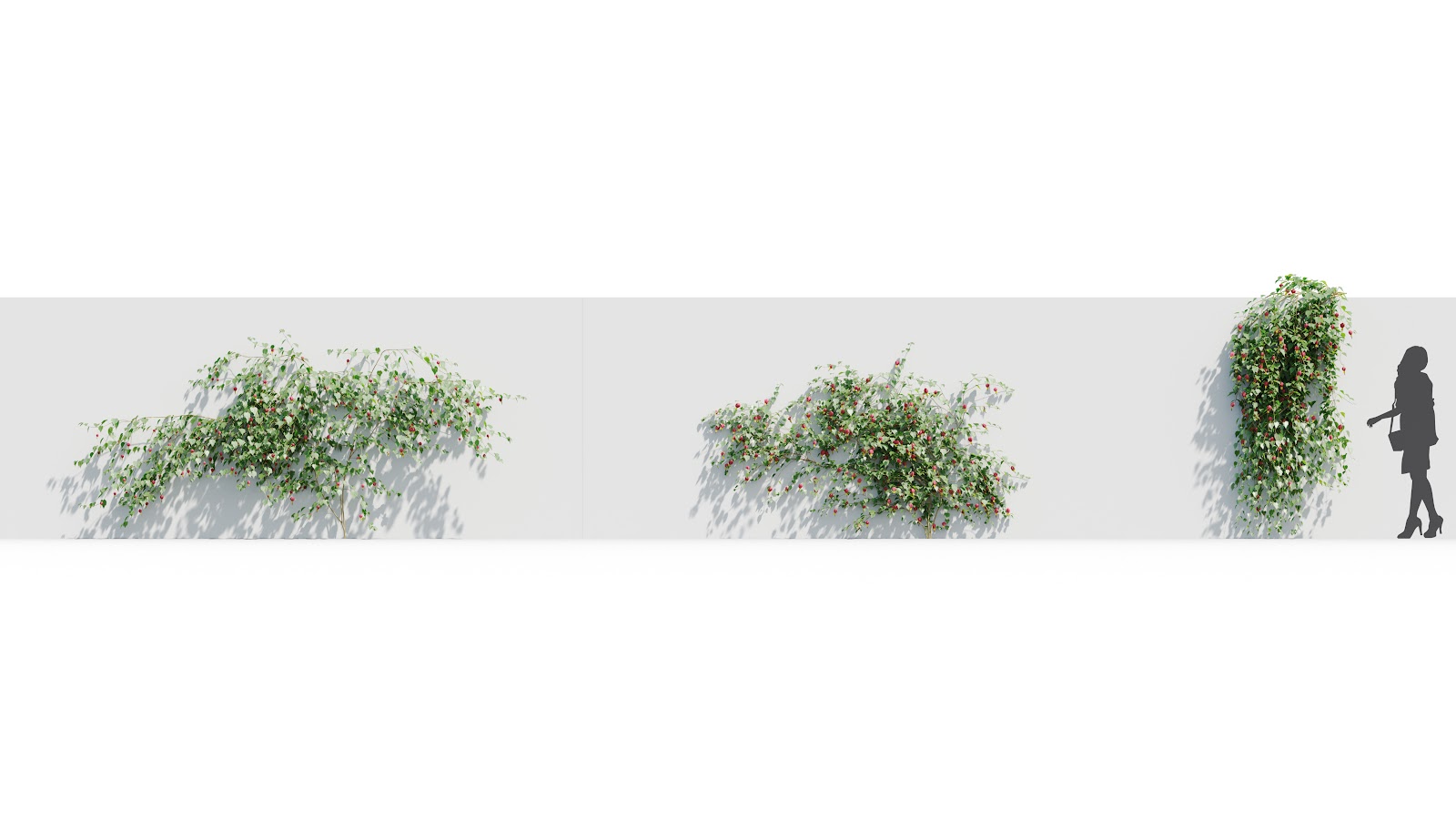 Maxtree - Plant Models Vol.37