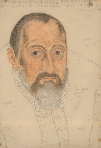 Portrait of a bearded man 1576