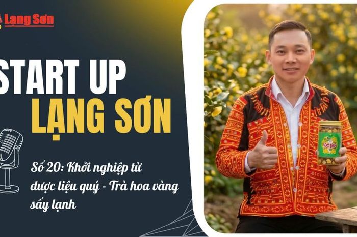 Podcast 'Start up Lạng Sơn' số 20: Khởi nghiệp từ dược liệu quý – Trà hoa vàng sấy lạnh - Báo Lạng Sơn