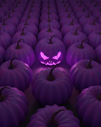 Pink Pumpkins Picture