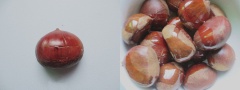 Hạt dẻ cần được rửa thật sạch trước khi chế biến và dùng khăn thấm thật khô để khi nướng hạt dẻ sẽ ngon hơn nha. Sau đó lấy dao cắt hai đường trên mặt hạt dẻ tạo thành hình dấu cộng. Cho hạt dẻ vào tô, thêm 30ml dầu ăn vào trộn đều lên để thấm vào hạt dẻ.