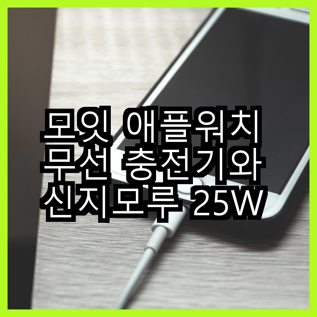 모잇 애플워치 무선 충전기와 신지모루 25W GaN 충전기, 어떤 선택이 더 빠를까? 썸네일