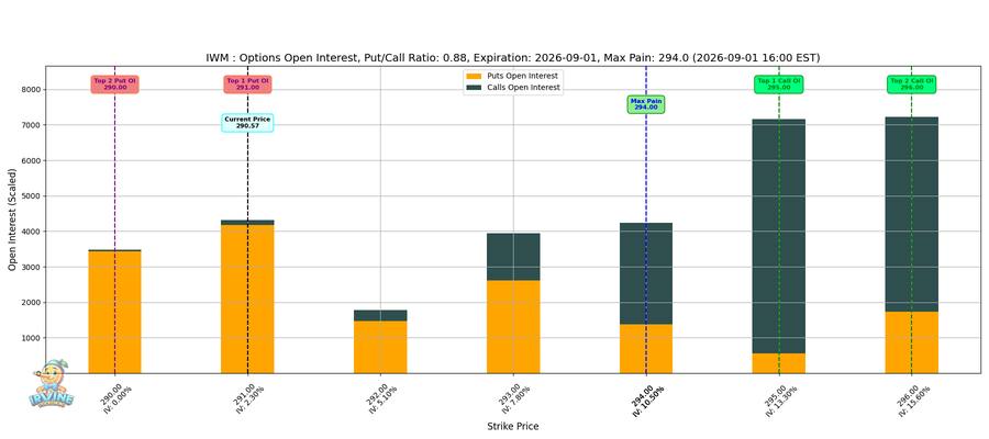 IWM Options