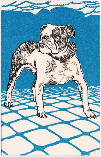 Nr 680 Bulldogge 1912