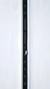 Lush Tropical Waterfall in Dense Jungle