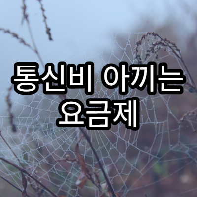 통신비 아끼는 요금제 선택 가이드