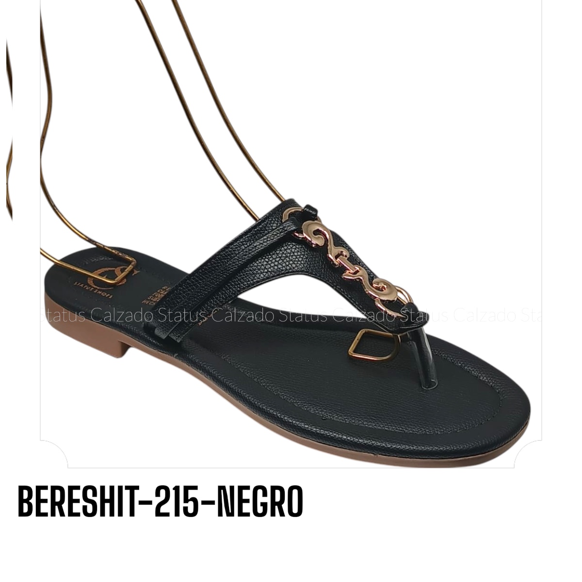 BERESHIT-215-NEGRO