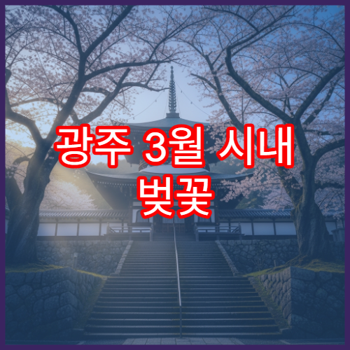 광주 3월 시내 벚꽃 산책로 BEST 5