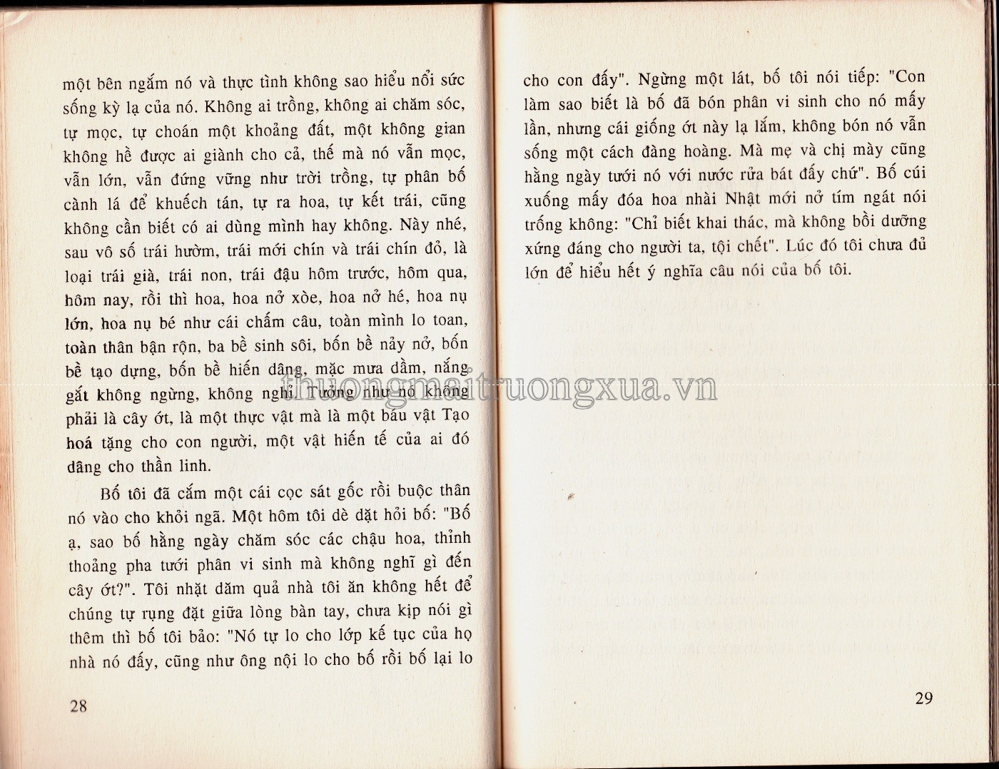 Cây gạo làng tôi (1998) - Trang 15