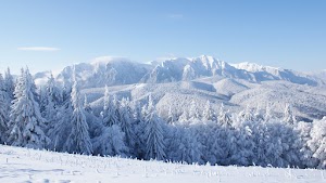 Winter Nature Wallpaper