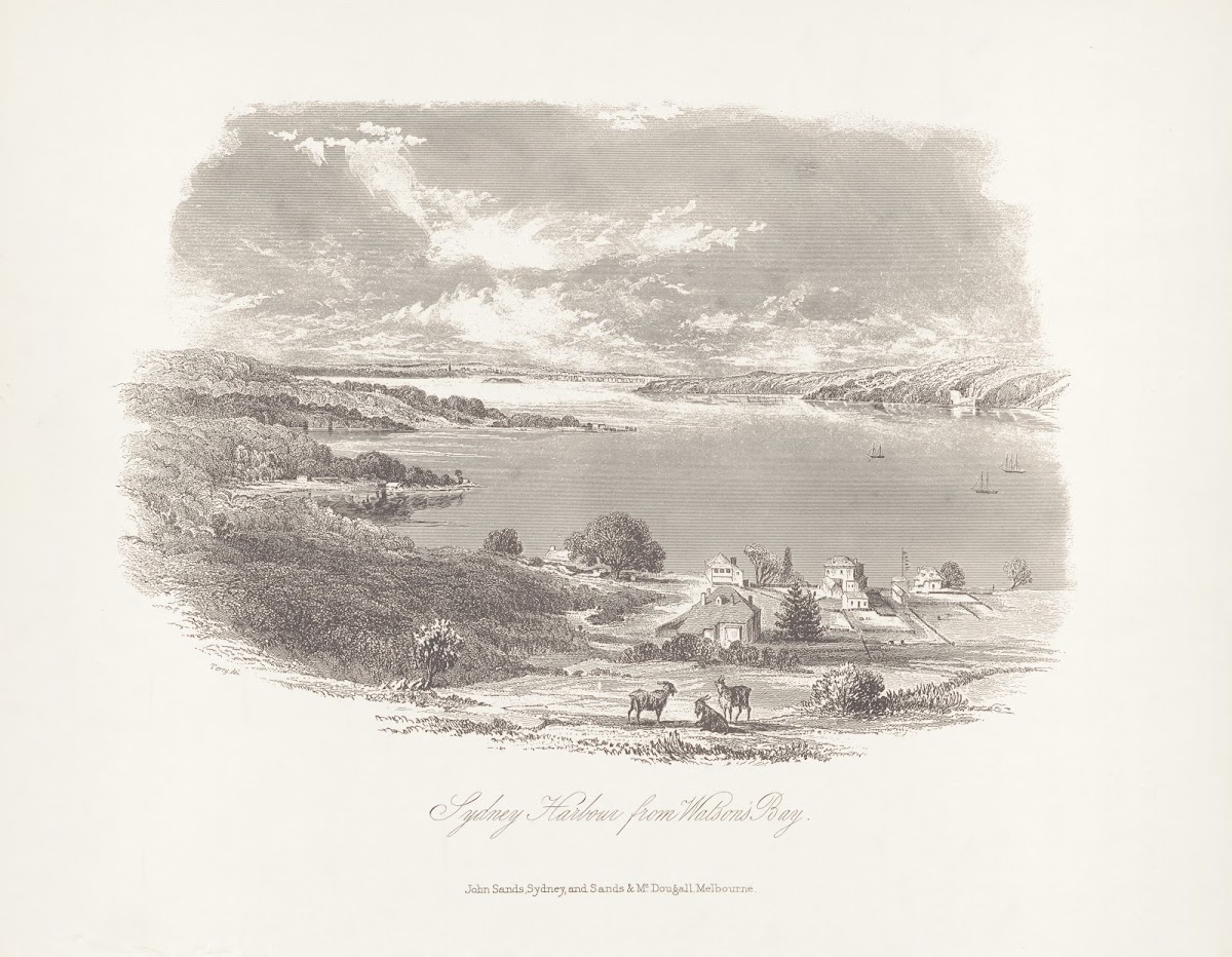 Sydney Harbour From Watsons Bay 1860