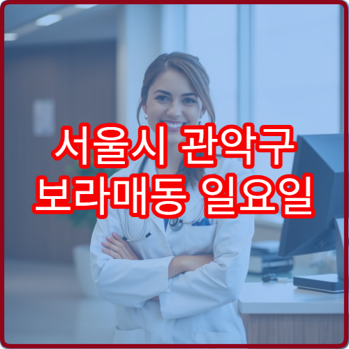 서울시 관악구 보라매동 일요일 성형외과 진료 여부