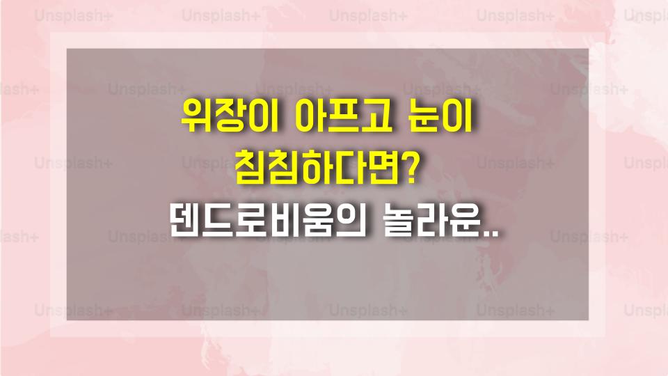 위장이 아프고 눈이 침침하다면? 덴드로비움의 놀라운 효과