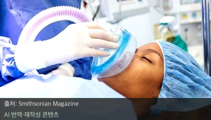 무의식 뇌 기능 - 잠든 뇌도 말을 알아듣는다? 무의식 뇌 기능의 놀라운 비밀