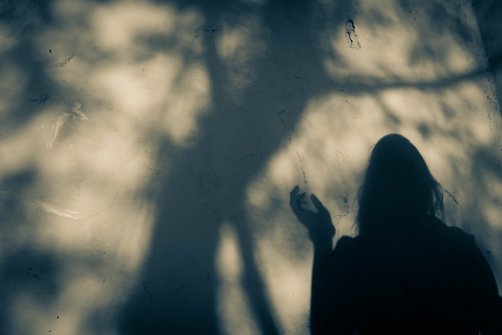 Photography #20