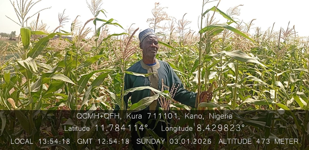 Kaduna & Kano deployment — crop field