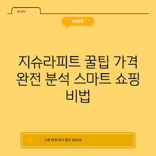 지슈라피트 가격, 지슈라피트 할인, 지슈라피트 구매 팁, 지슈라피트 비교, 지슈라피트 리뷰