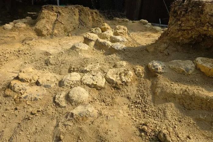 Tìm thấy khoảng 100 quả trứng khủng long sau 72 triệu năm - Báo Tri thức &amp; Cuộc sống