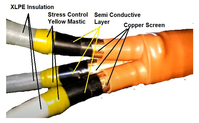 Cover image 9