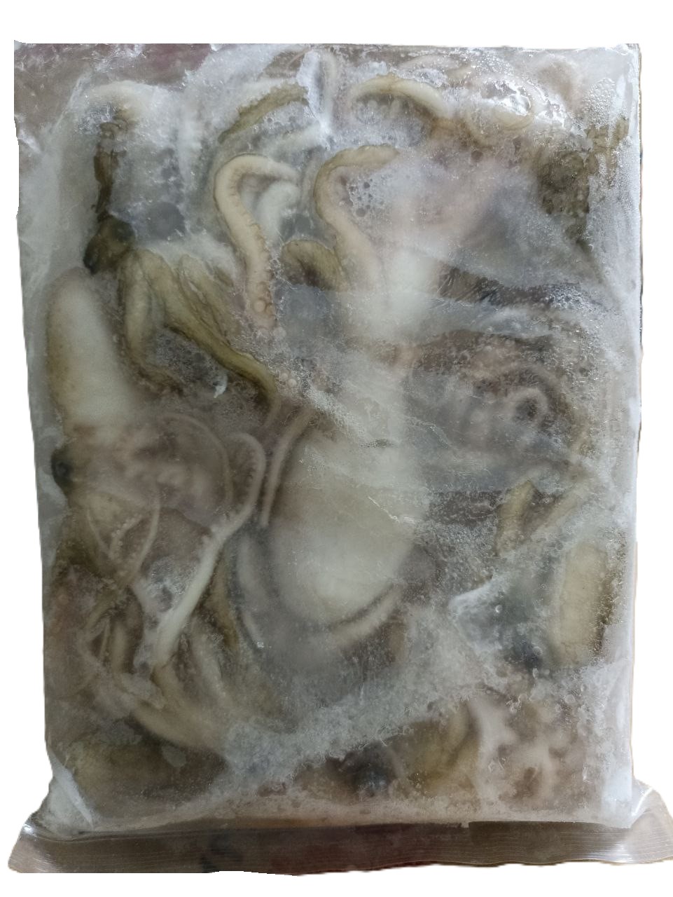Octopus Small (Octopus Flower) 1Kg X 12Pkt