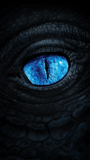 Dragon Eye Picture
