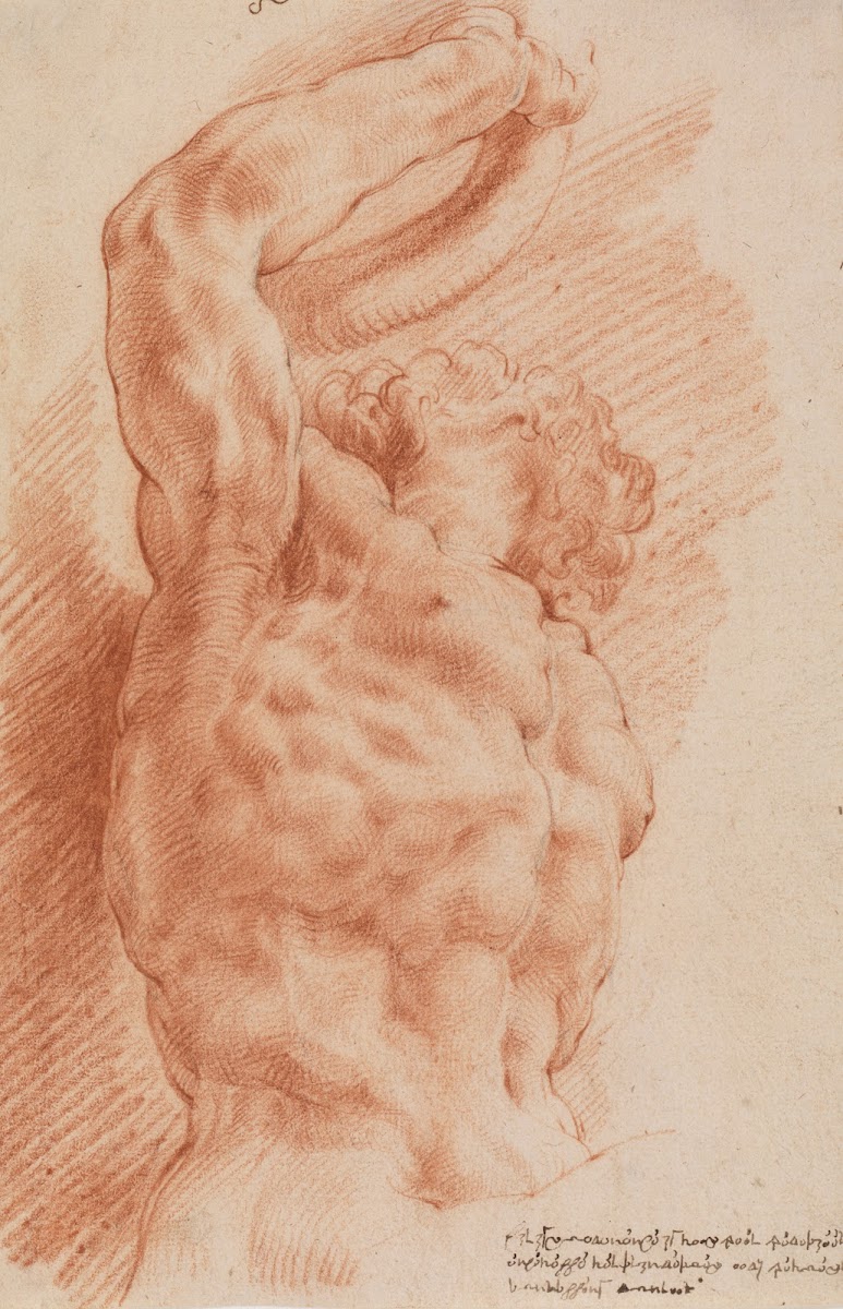 Laocoon Laocoons torso seen from below from the right 1628  1630