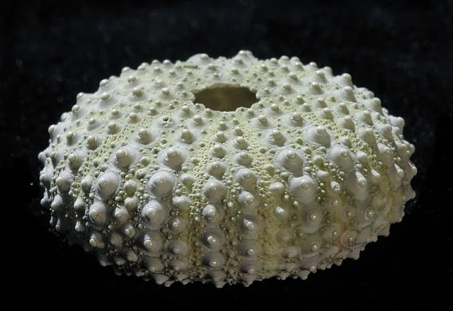 비행기 창문은 왜 네모가 아닌 둥근 형태일까? 설계 기준의 공학적 이유