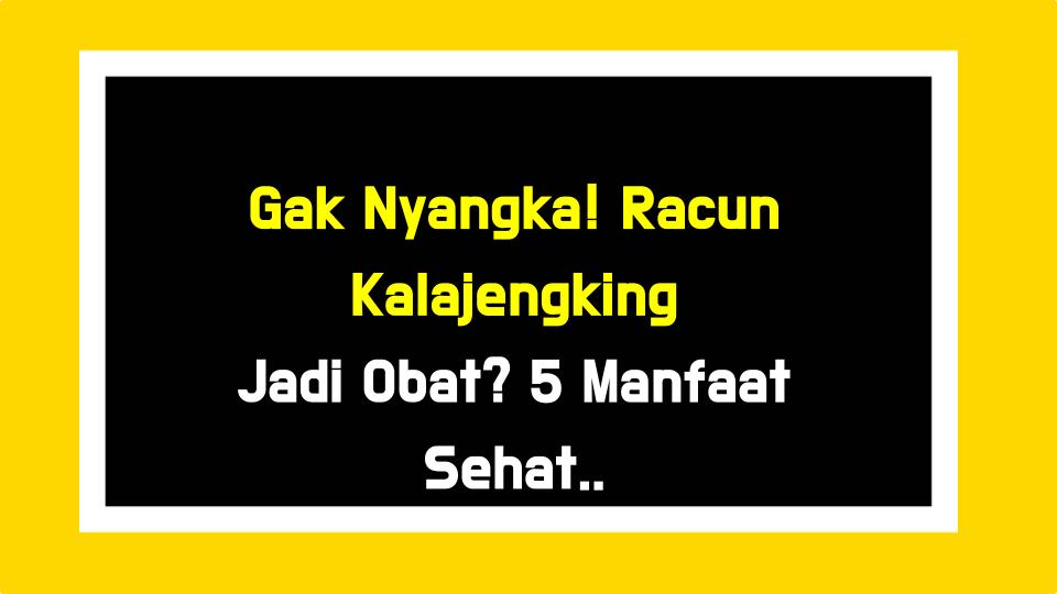 Gak Nyangka! Racun Kalajengking Jadi Obat? 5 Manfaat Sehat Ini Bikin Melongo!