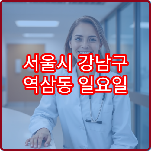 서울시 강남구 역삼동 일요일 약국 주말에도 문 여는 약국 위치 안내