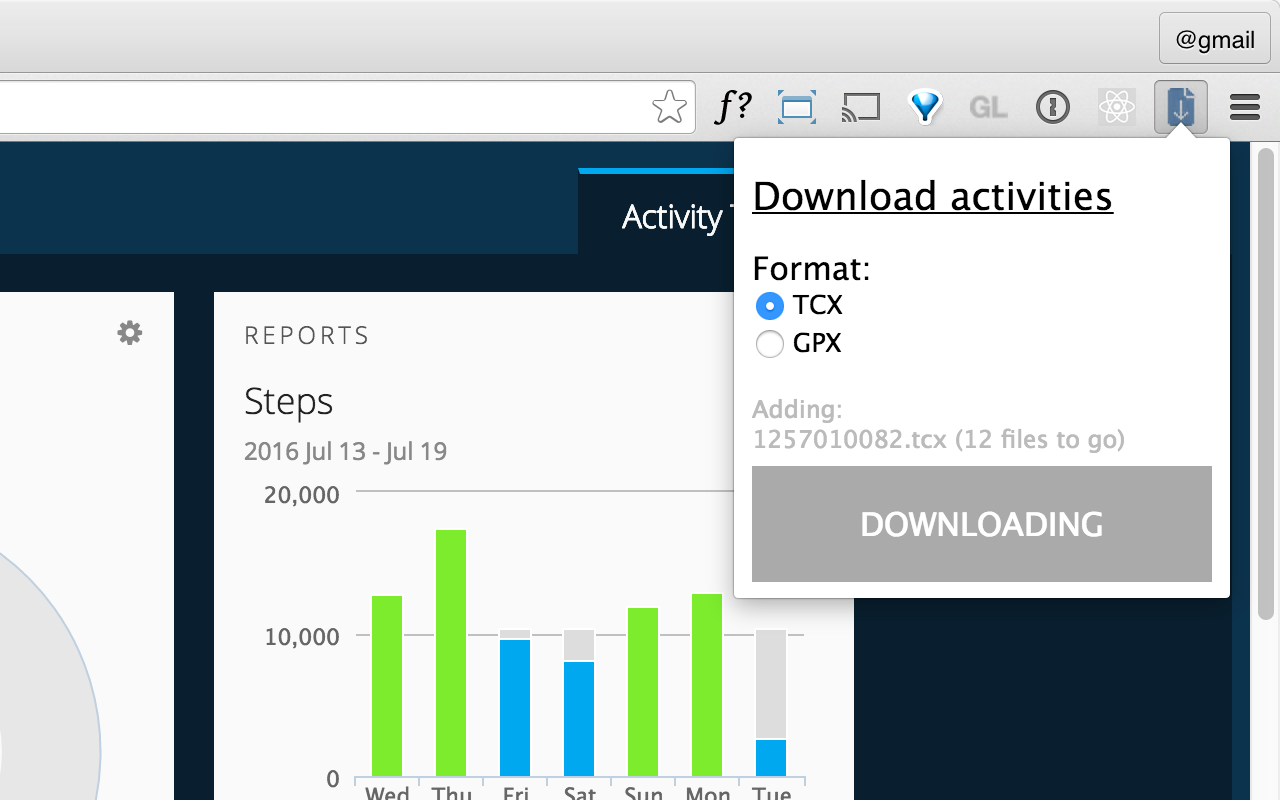 Garmin activity downloader Preview image 2