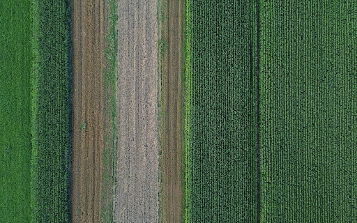 Endless fields screenshot 1