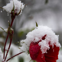 estate e inverno di 