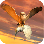 Cover Image of Télécharger Clan du Hibou 1.0 APK