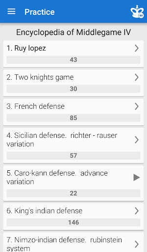 Chess Middlegame IV