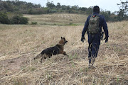 KwaZulu-Natal police are appealing to the public to donate dogs after two police dogs were shot dead on Monday. 