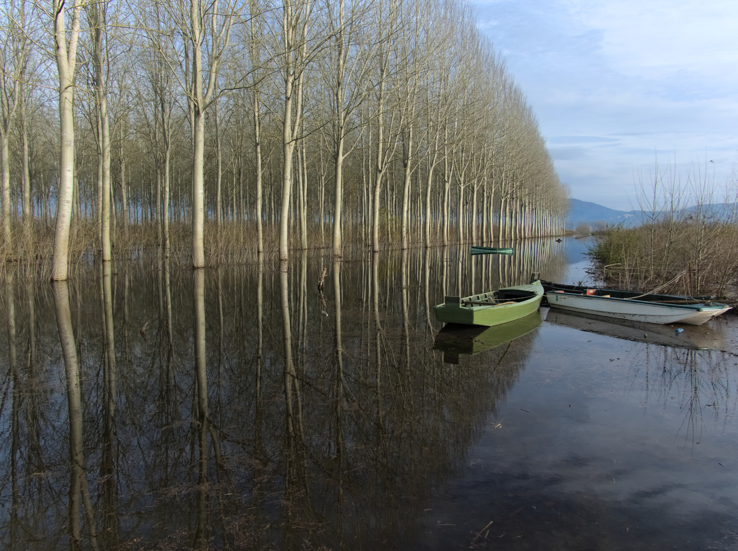 Riflessi nel padule di Fucecchio