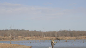 Ducks, Sun, and Wind thumbnail