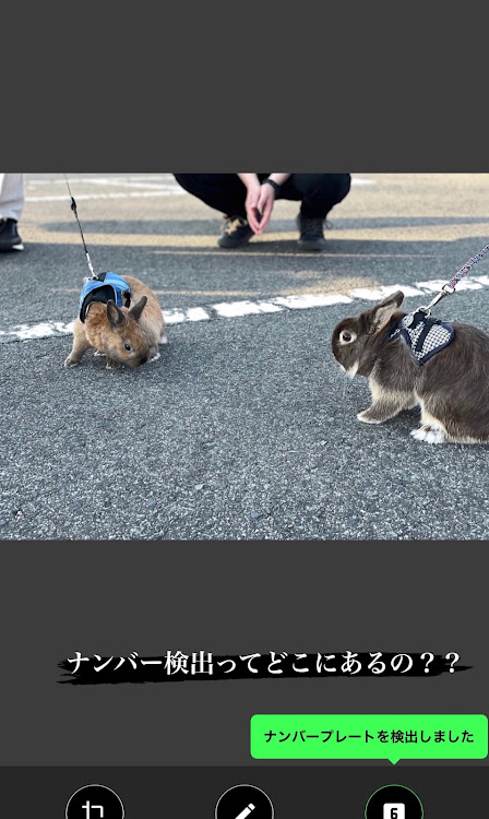 の投稿画像10枚目