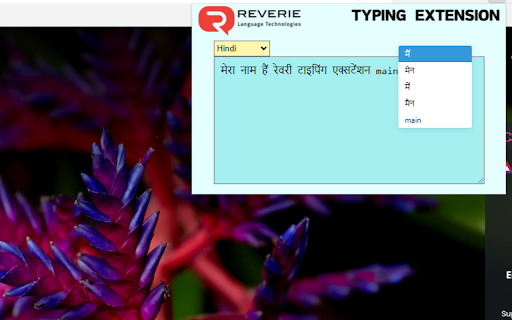 Reverie Multilingual Typing