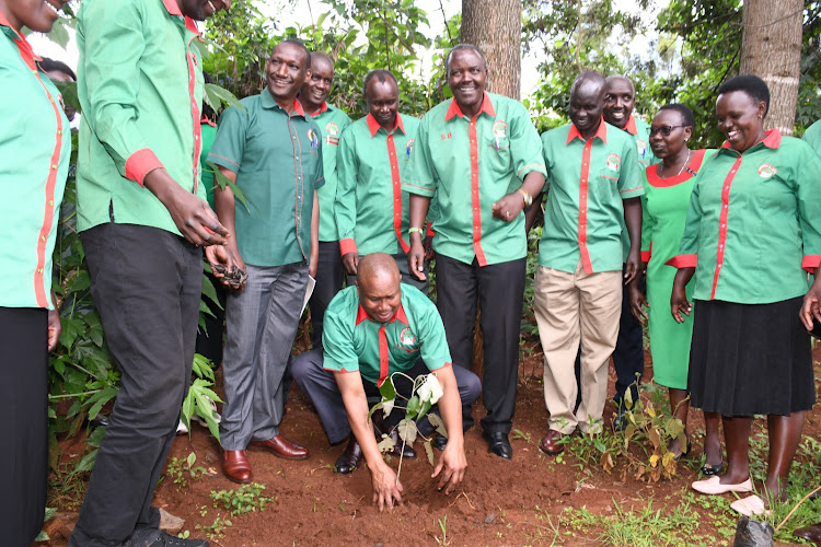 KNUT 1st Vice National Chairman Malel Langat during the tree planting exercise at Greenwood resort in Eldoret on May 10, 2024.