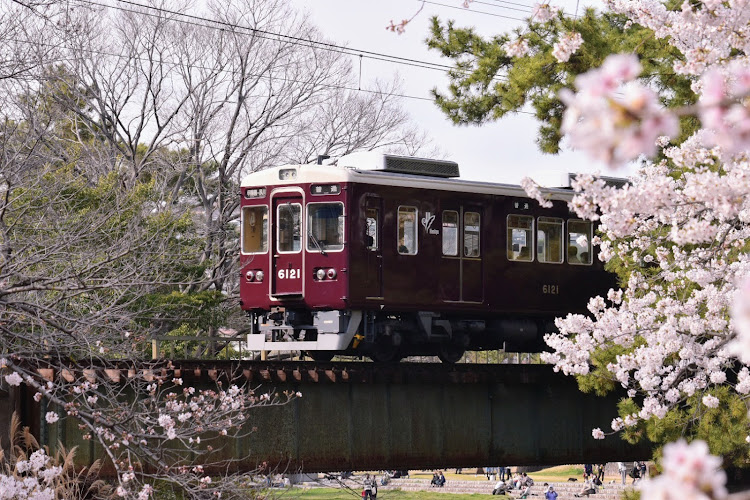 の投稿画像3枚目