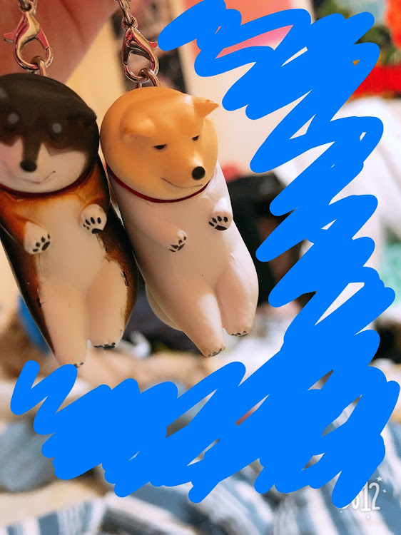 シルビアのDIYに関するカスタム事例の投稿画像2枚目