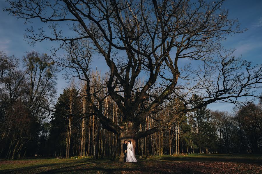 Fotografo di matrimoni Sasha Nikiforenko (nekifir). Foto del 25 febbraio 2018